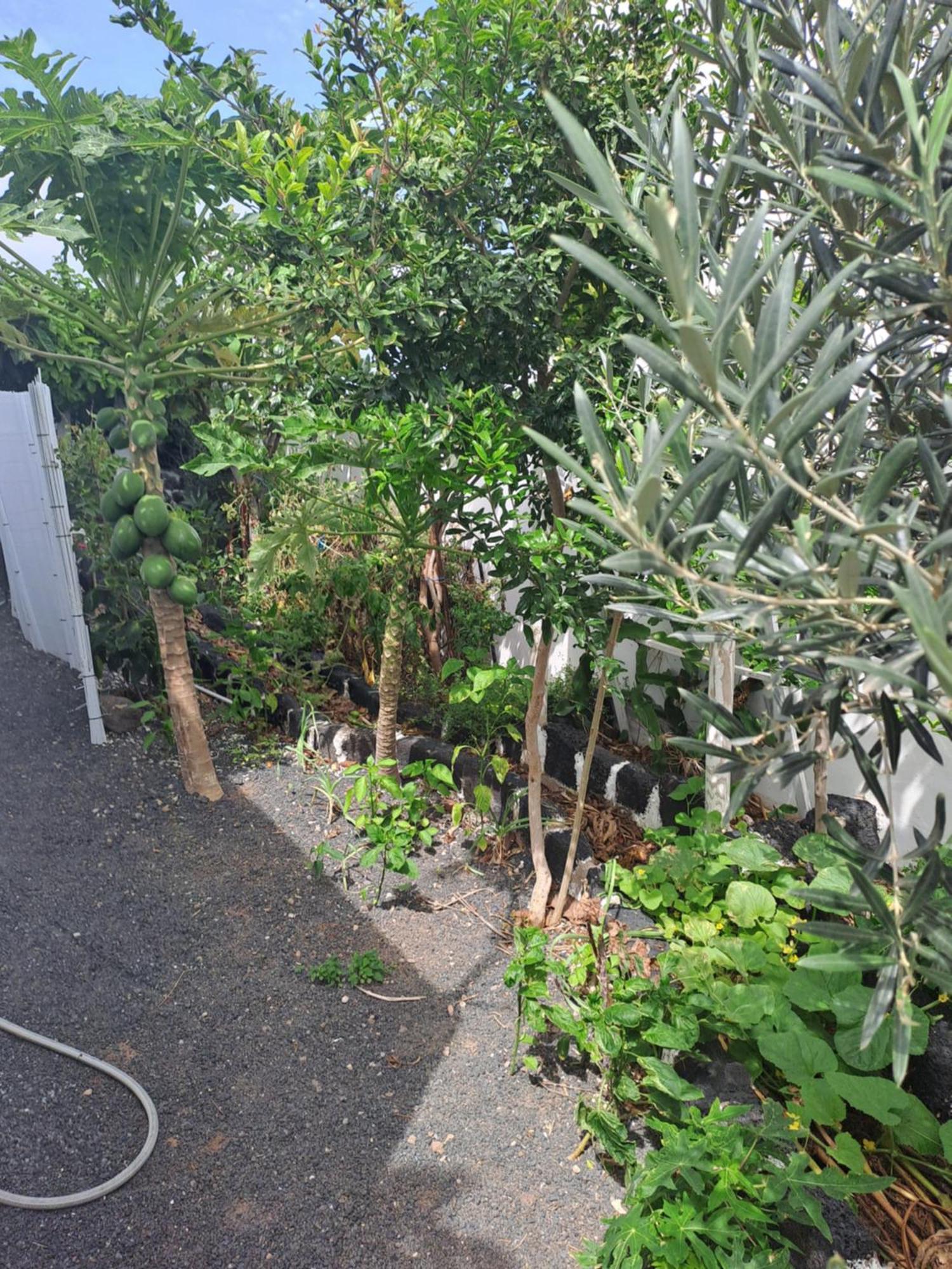 Las Vistas El Cuchillo ภายนอก รูปภาพ